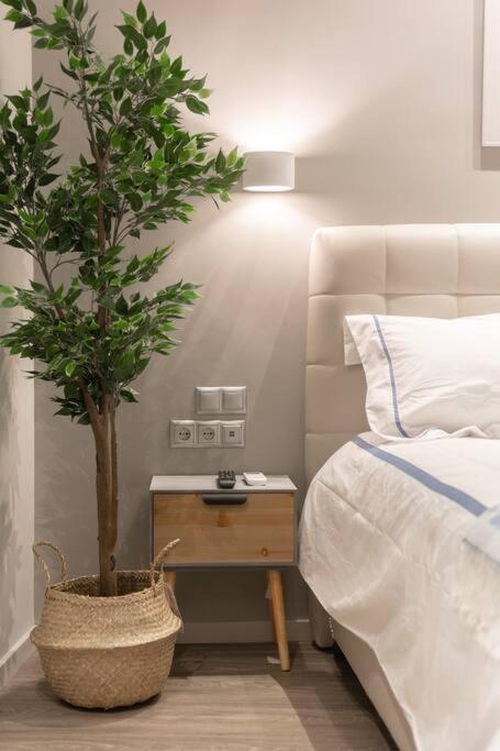 A11 Pristine & Comfy Studio Near Plaka & Parthenon Athens Exterior photo
